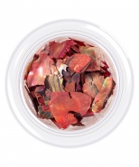Shell for nails Shells style 06 3 g