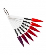 Palette Gel Lack UV Polish 
